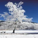 Chalet In Alps Near Ski Slopes
