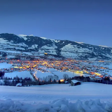 Sunny Flat In Mittersill Near The Ski Area Apartment