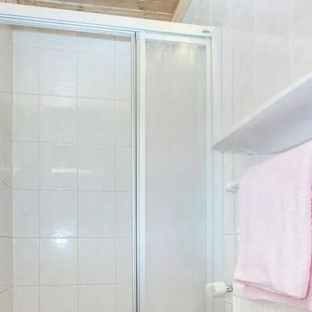 Sunny Flat In Mittersill Near The Ski Area *