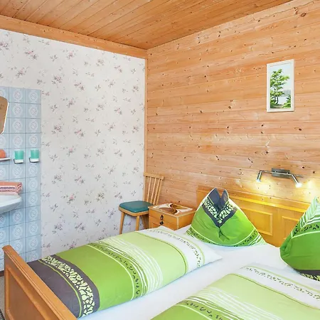 Sunny Flat In Mittersill Near The Ski Area Apartment