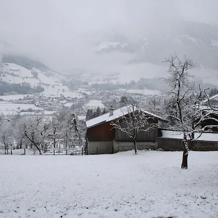 아파트 In Alps Near Slopes