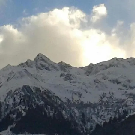 Sunny Flat In Mittersill Near The Ski Area Apartment