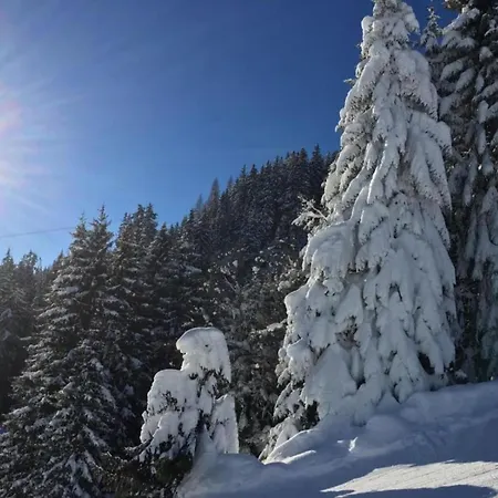 In Alps Near Slopes Διαμέρισμα *