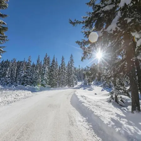 Sunny Flat In Mittersill Near The Ski Area *