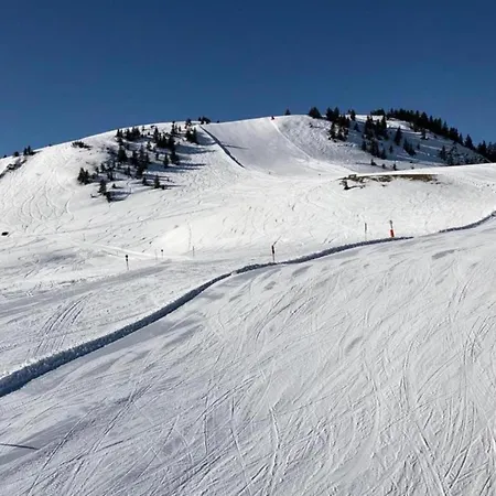 아파트 In Alps Near Slopes *