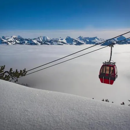 In Alps Near Slopes شقة ميترسل