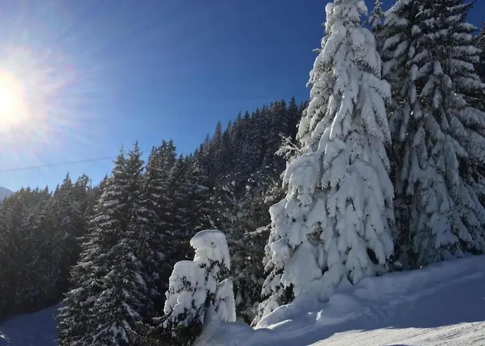 In Alps Near Slopes Appartement *