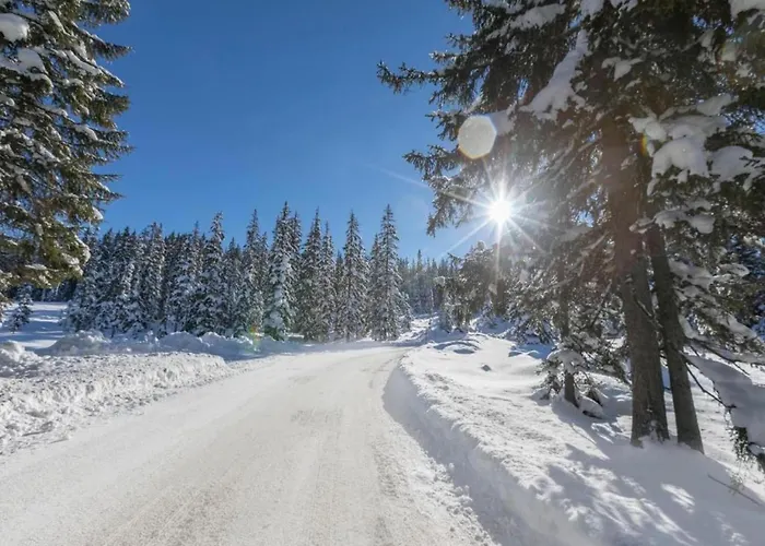 In Alps Near Slopes *