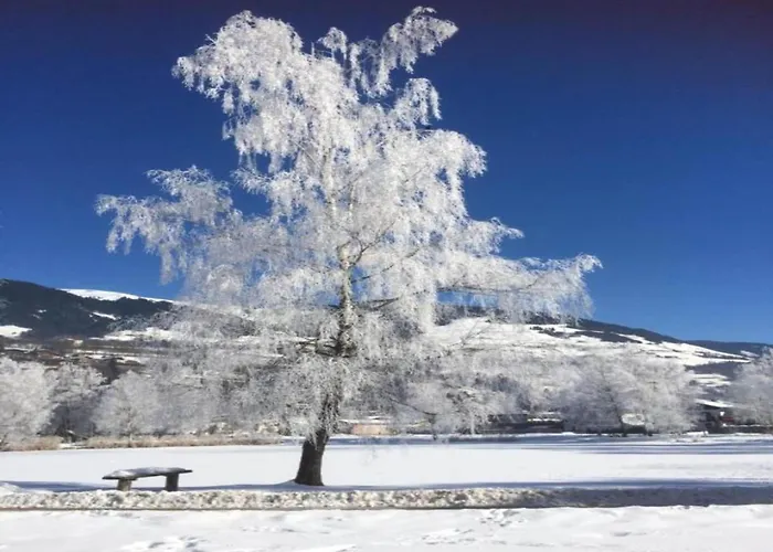 In Alps Near Slopes