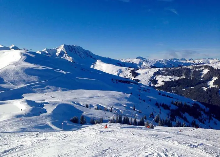 In Alps Near Slopes Appartement *