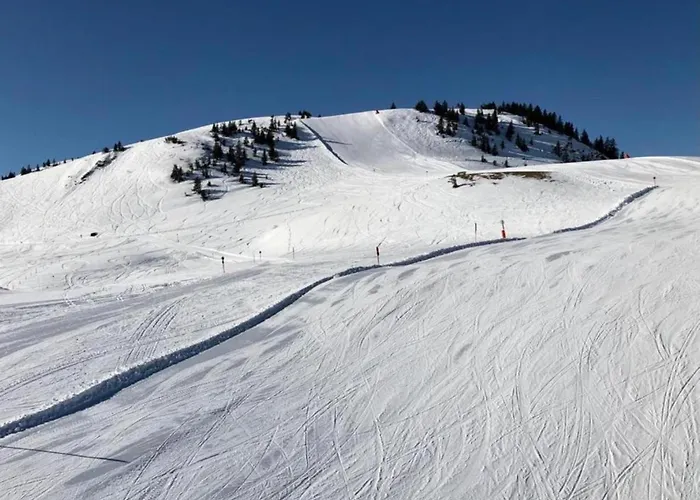 Apartamento In Alps Near Slopes *