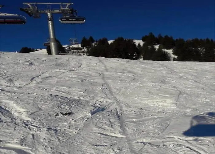 In Alps Near Slopes Mittersill